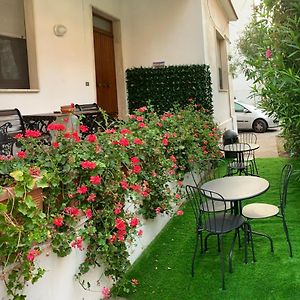 B&b Falcone